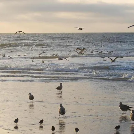 In Sint Maartenszee Near Vakantiehuis Sint Maartensvlotbrug