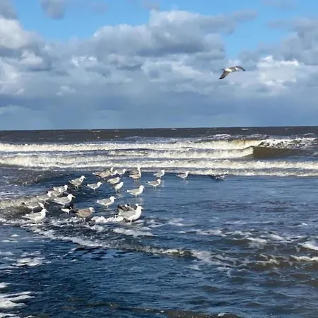 In Sint Maartenszee Near Sint Maartensvlotbrug