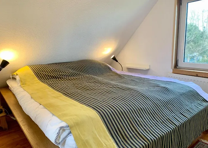 In Sint Maartenszee Near Sint Maartensvlotbrug