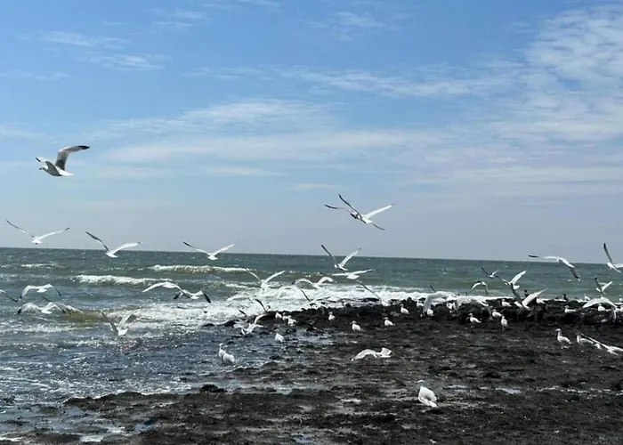 Feriehus In Sint Maartenszee Near