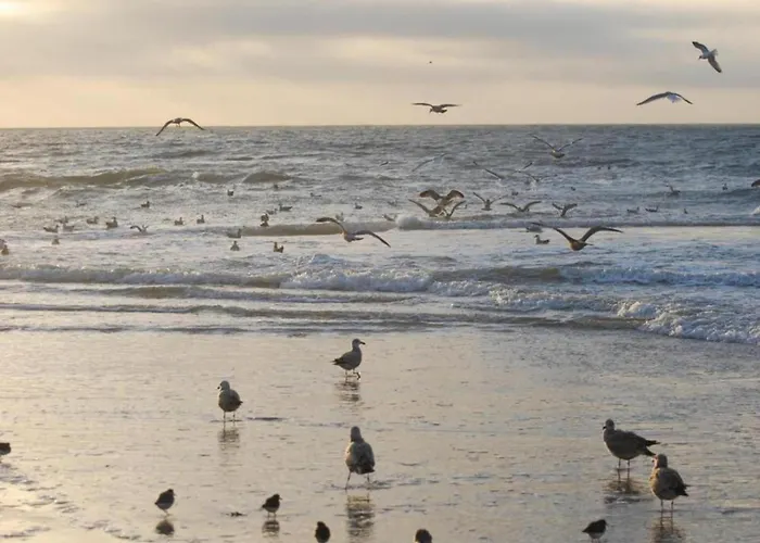 In Sint Maartenszee Near Feriehus Sint Maartensvlotbrug
