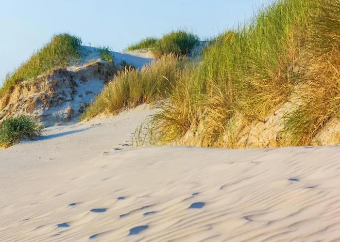In Sint Maartenszee Near Feriehus