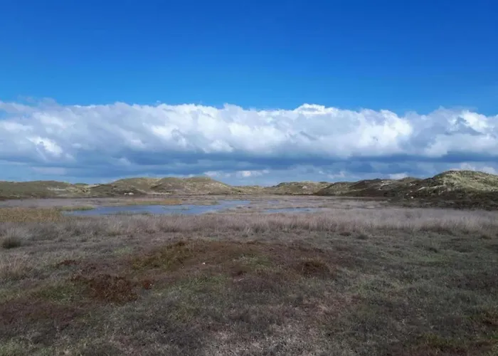 Feriehus In Sint Maartenszee Near *