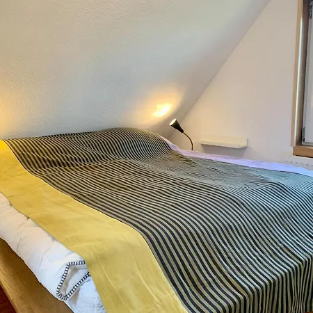 In Sint Maartenszee Near Sint Maartensvlotbrug