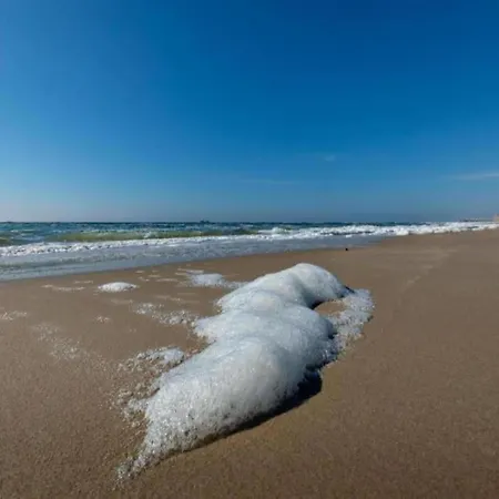 In Sint Maartenszee Near