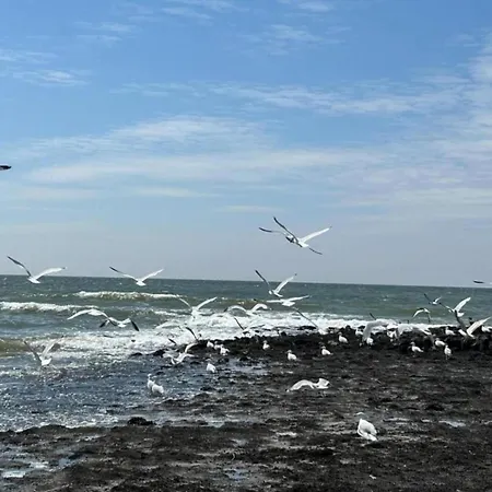 Nyaraló In Sint Maartenszee Near