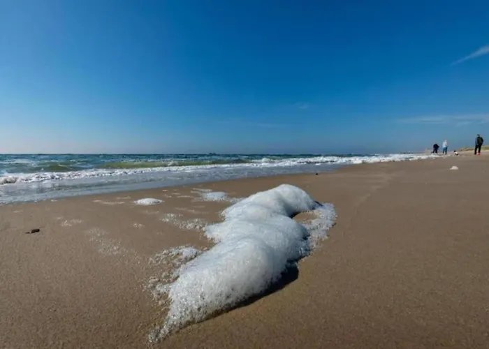 In Sint Maartenszee Near