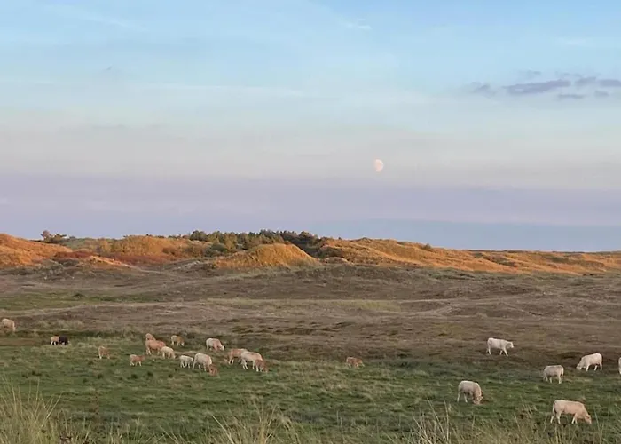 In Sint Maartenszee Near *
