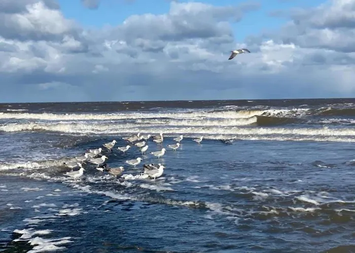 In Sint Maartenszee Near Sint Maartensvlotbrug